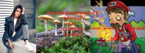 каннабис Абаза
