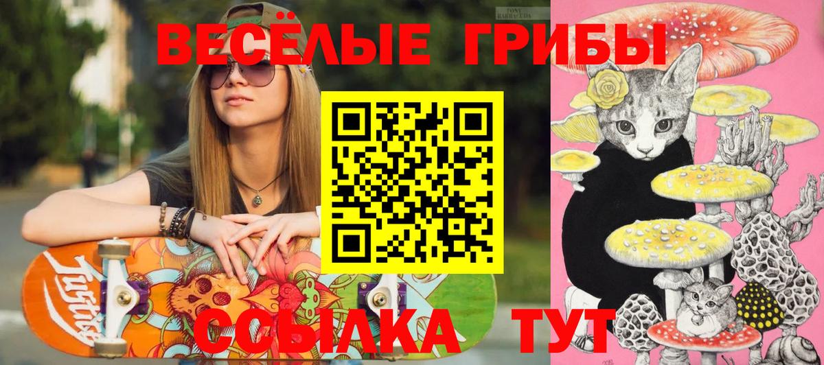 Донецк  Галлюциногенные грибы мицелий  Вход с VPN  Псилоцибиновые грибы мухоморы 